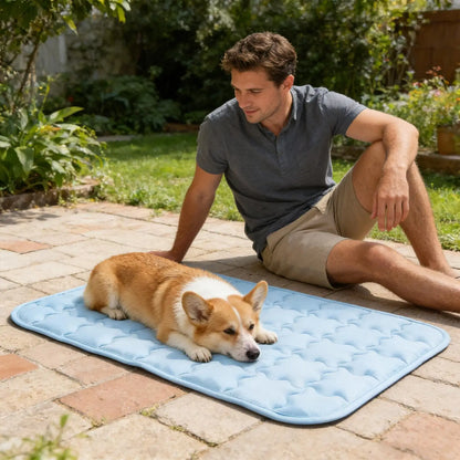Dog Cooling Mat Breathable Washable Pet Supplies Pet Cooling Mat Cat Bed for Indoor Outdoor Home Balcony Travel Camping Crate